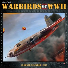 (英文圖書)Warbirds of WWII 2026 12 X 12 Wall Calendar Spiral, Willow Creek Press Calendars, 英文, 線圈