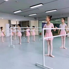 발레학원 다리 스트레칭 바 휴대용 스탠드발레바 유연성 스트레칭봉, 250x60x100mm 단층