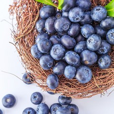 [더리얼파머스] 프리미엄 국내산 생 블루베리 생과, 1개, 100g x 2팩 (알당 16mm이상)