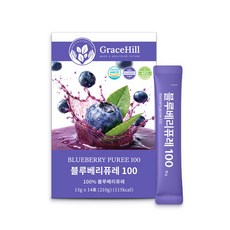 그레이스힐 페루산 NFC 블루베리 퓨레 100 원액, 1개, 32.67g