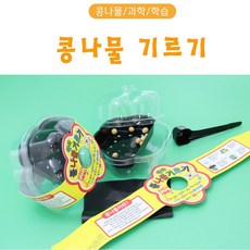 체험학습 콩나물 기르기(1인용), 1개