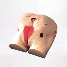 의료실습 욕창 마네킹 교육교구 간호 마네킹 엉덩이, 1개