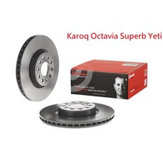 VAG小賴汽車 Karoq Octavia Superb Yeti 312mm Brembo平面煞車盤 全新升級, 1個