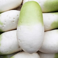 블루밍그린 국내산 달큰한 월동무 10kg, 1박스