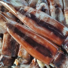 [산지직송/ 당일조업]국내산 신진도 급냉 손질 오징어 3마리, 1개, 손질 오징어 3마리 ( 750g )