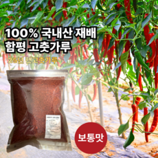 [아텝] 매산농원 25년산 국내산 함평재배 고춧가루 김장용 찌개용 보통맛, 1개, 1kg