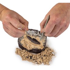 소근육발달 지오그래픽 공룡이빨 화석 키트 화석키트 공룡장난감 공룡화석발굴 장난감