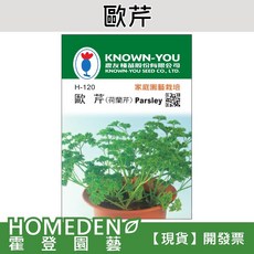農友種苗 歐芹 (荷蘭芹) 種子, 1包