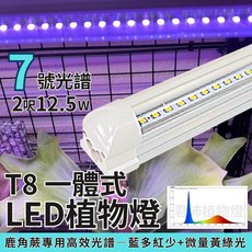 君沛 led植物燈 一體式 植物燈管T8 2呎12.5W 7號光譜 (室內補光 鹿角蕨適用), 1支
