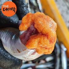 제철 양미리 구이, 1개, 20미, 급냉 양미리