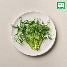 [새아누리] 꼬불이 완두순 (500g), 1개, 500g