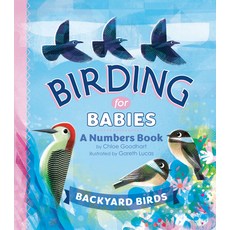 (영문도서) Birding for Babies: Backyard Birds: A Numbers Book Board Books, Penguin Workshop, English, 9780593386989