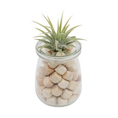 편백나무 가습기 이오난사(4인 세트) 초등 DIY만들기 교육 실험키트, 단품