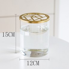북유럽 스타일 미니멀리즘 인테리어 꽃꽂이 장식 투명 유리화병, 12x15 꽃병+메쉬 뚜껑