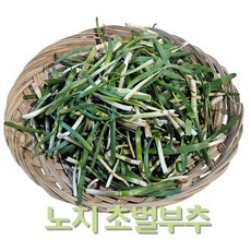 영양가득 노지 봄부추 약부추 초벌 부추 1kg, 1개