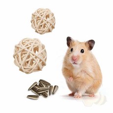 햄스터 앵무새 노즈워크 이갈이장난감 소동물장난감, 1-햄스터공3cm