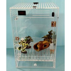 壓克力爬蟲箱 樹棲直立式外拉抽屜飼養箱 蜘蛛守宮角蛙適用 全透明寵物箱, 1個, 抽屜飼養箱(面寬25深25高40cm)