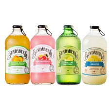 이젠서진 분다버그 4종(망고3개+핑크자몽3개+레몬라임3개+레몬에이드3개) 375ml, 12개