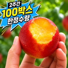 [주문폭주] S등급 꿀brix 자두담 대석자두, 1박스, 4kg