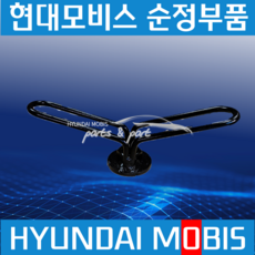 메가트럭 엑시언트 트라고 상용차 스페어 휠 캐리어 너트 현대순정 6285571200, 1개