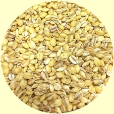 2025년산 햇보리 5kg 100% 국내산 보리밥 보리쌀 찰보리, 1개