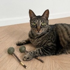 뚜또가또 캣잎 캣닢 사탕 고양이 스틱 2개입pjy7+5xNl