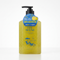 럽센트 홀리데이바캉스 스크럽 워시 유자 시트러스향, 500ml, 1개