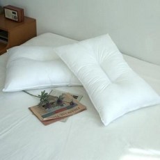 아트박스/샤이닝홈 러프 호텔식 경추 베개솜 40x60 2P