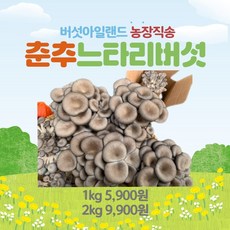 산지직송 당일수확해서 보내는 모듬버섯, 느타리버섯, 1개, 2kg