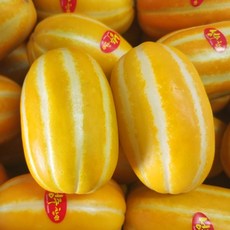 [현재판매중] 성주참외 꿀 참외 가정용 산지직송, 1박스, 가정용참외 3kg 혼합과