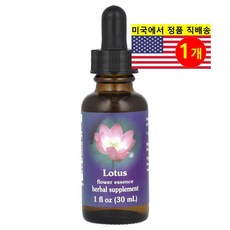 Dynamic Health 로터스 플라워 에센스 Lotus Flower Essence, 1개, 30ml