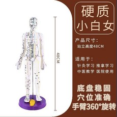 包郵!大字刻字人體穴位模型全身教學模型針灸穴位針灸人全身穴位模型人人體模型 教学 模型 穴位 關節骨架 模具, 硬48厘米白色女
