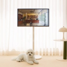 P2 프레미디 스탠무빙 43인치 4k UHD TV 유압식 삼탠바이미 셋트 중소바이미 이동형티비 삼텐바이미, 고객직접설치, 이동형 스탠드, 43인치 4k UHD 모니터+유압식 거치대(화이트), 109cm(43인치)