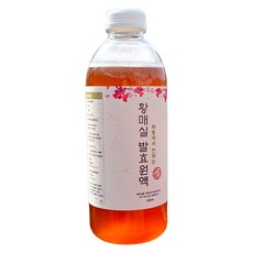 하동에서 전하는 3년 저온숙성 매실청 (발효원액), 4개, 1L