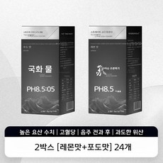 차카 소다수 pH8.5 고방 알칼리성 분말 12개입 개별포장 탄산수 대체 건강 음료, 레몬+포도 2박스(24개)