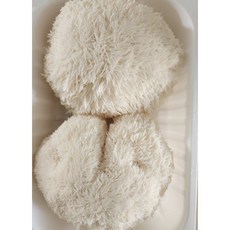 [인기 버섯!!] 국내산 입안에서 사르르 몽글몽글 노루궁뎅이버섯(500g) 3팩 노루궁뎅이, 1개, 500g