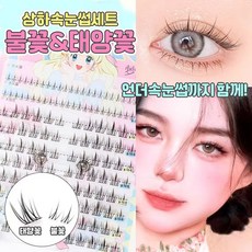 태양꽃 블랙 지지대 초보자용 3종혼합 악마 만화 인조 속눈썹, 1개, 상하조합