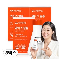 비타민마을 와이즈 칼륨, 120정, 3개