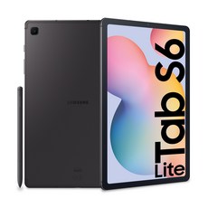 삼성전자 갤럭시탭 S6 LITE 10.4, 옥스포드그레이, 64GB, Wi-Fi