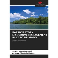 (英文圖書)Participatory Mangrove Management in Cabo Delgado 平裝版, Our Knowledge Publishing, 英文