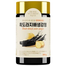 한보감 흑도라지배생강청, 5개, 1개입, 260g