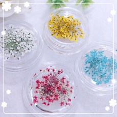 그라데이션 네일생화 생화네일 봄네일 꽃네일 드라이플라워, 4.민트, 1개