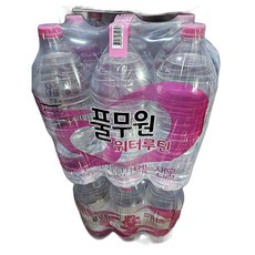 생수 워터루틴 식품 특별한 엄선 2L 24개