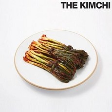 홍진경 [홍진경 더김치] 파김치 2kg X 1개 121882