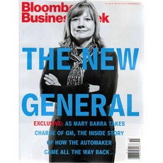 Bloomberg Businessweek USA Edition 2013년 12월22호 (미국 블룸버그 비즈니스위크 세계적인 경제 분석 보도 주간 정보잡지), McGraw Hill Co.