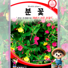 남흥원예사 분꽃 4g 원예 관상 조경 화단 용 꽃 씨 씨앗 종자 세계종묘, 1개