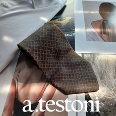 A. TESTONI 아테스토니 실크 체크 넥타이 9.6cm A+등급 A17774