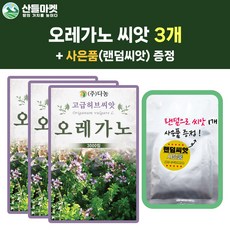 산들마켓 오레가노 씨앗 3000립 오레가노 꽃씨 허브 종자 3개+랜덤씨앗1개 증정, 1세트