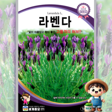 라벤다 100립 허브 로체 식용꽃 허브 꽃씨 씨앗 종자 세계, 1개
