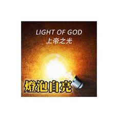 808 MAGIC 上帝之光 燈泡自亮 魔術道具 魔術表演 遙控燈泡 交換禮物 劉謙 陳日昇 魔術教學 超能力, 1個